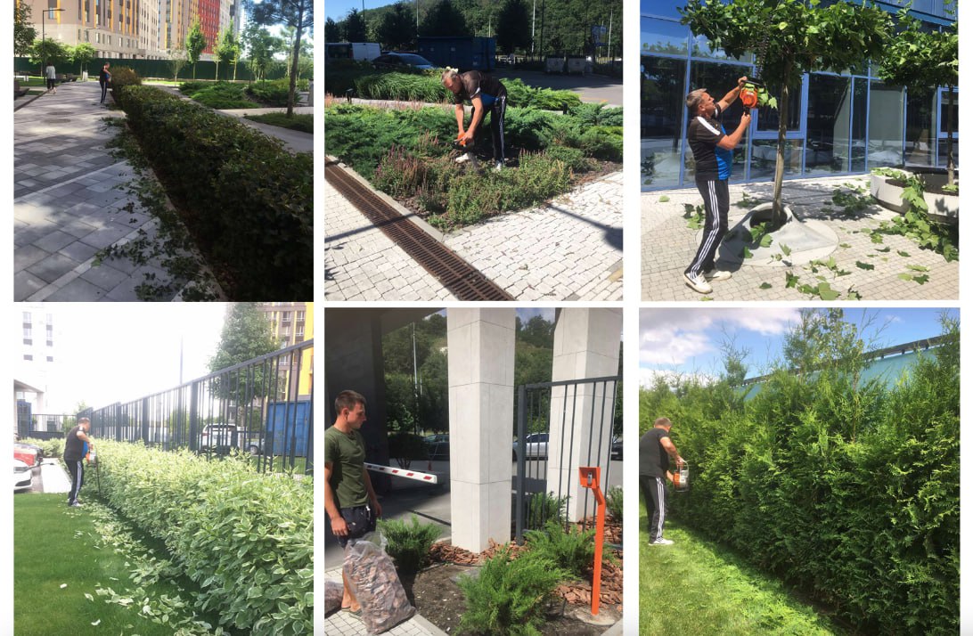 🌸Продовжуємо творити красу в Світло Парку!