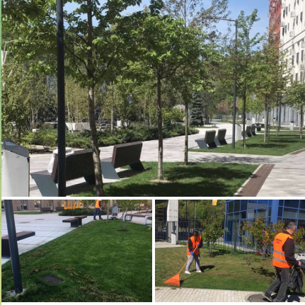 🌱Проводимо аерацію газону: розпушуємо, провітрюємо, прибираємо зайве.